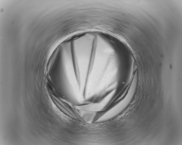 X0000058771524200510211710