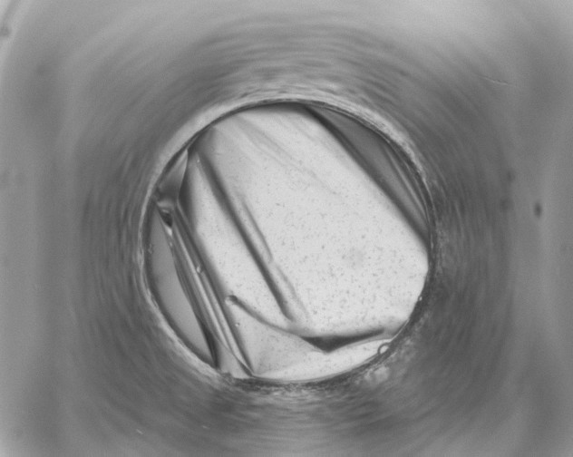X0000058771525200510211710