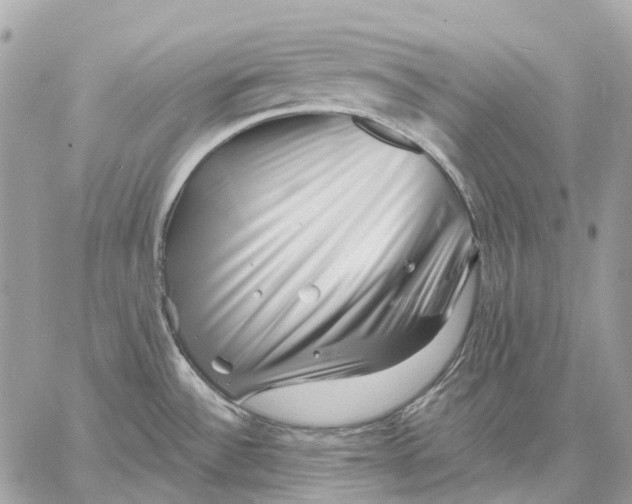 X0000058771532200510211710