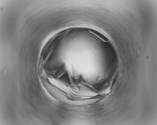 X0000058771536200510211710