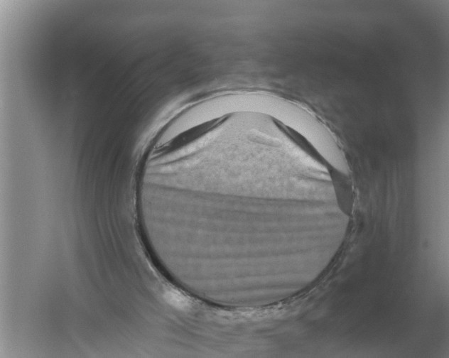 X0000058770005200510281957