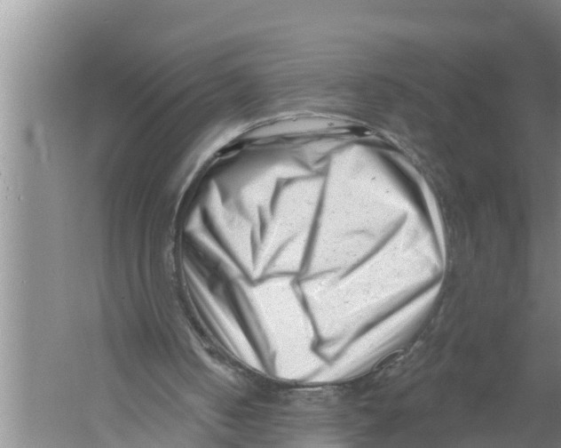 X0000058770050200510281955