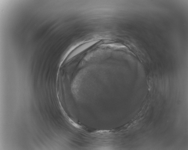 X0000058770052200510281955