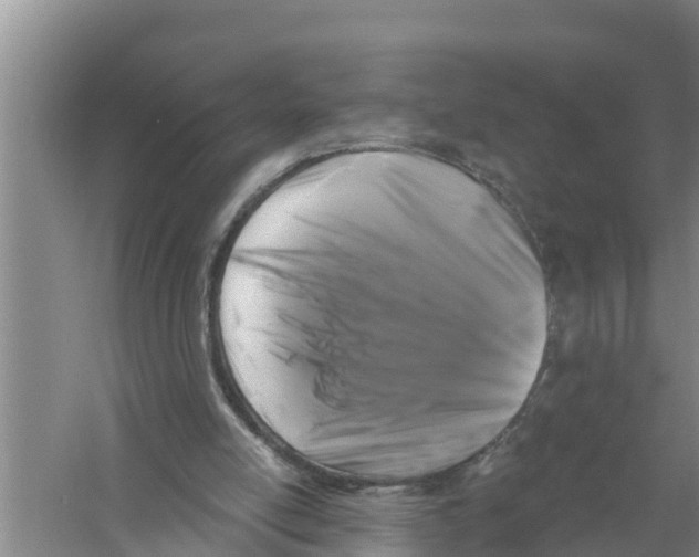 X0000058770054200510281955