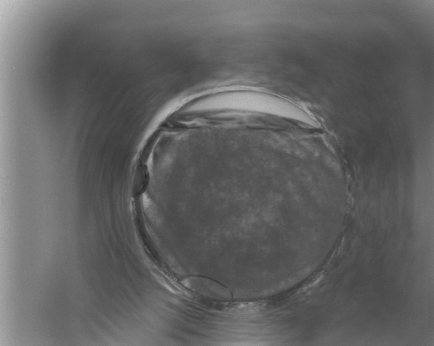 X0000058770056200510281955