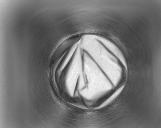 X0000058770060200510281955