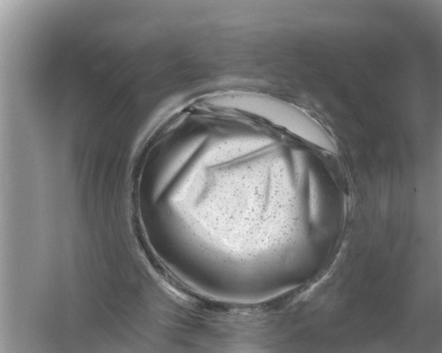 X0000058770101200510281955