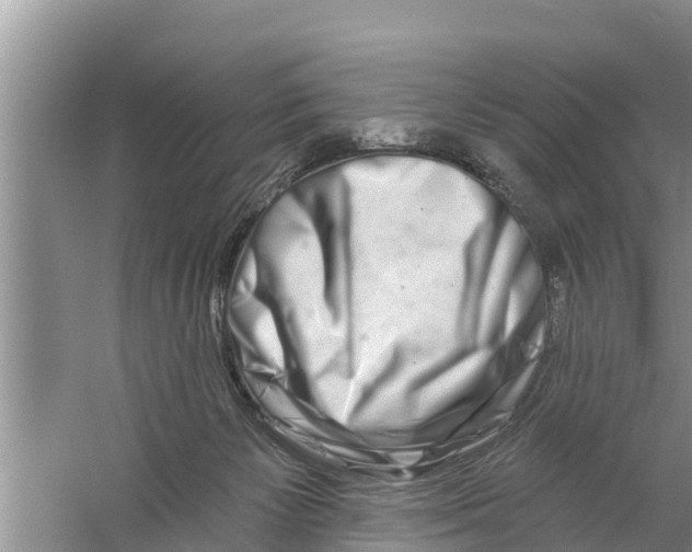 X0000058770125200510281955