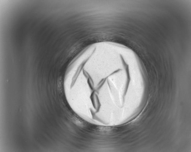 X0000058770144200510281954