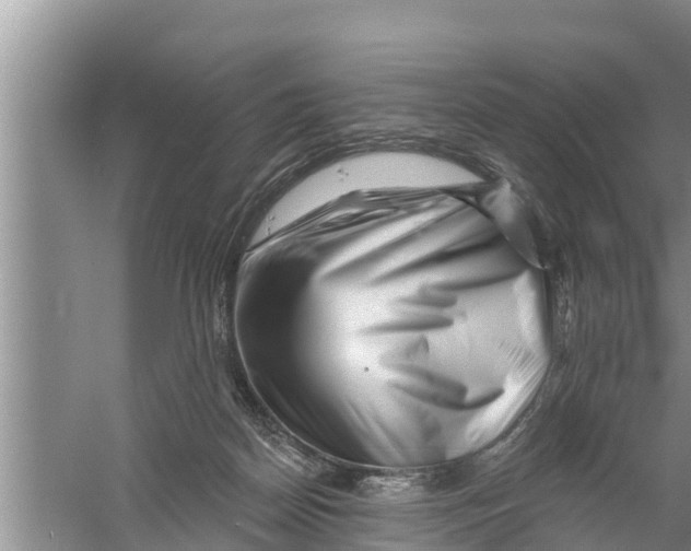 X0000058770170200510281954