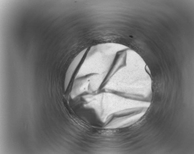 X0000058770182200510281954