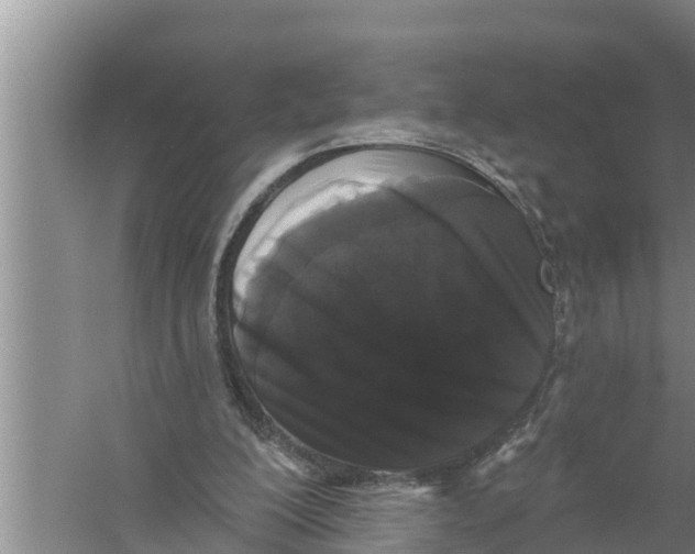 X0000058770200200510281953
