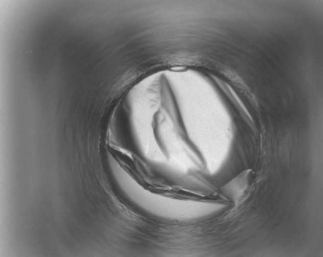 X0000058770201200510281953