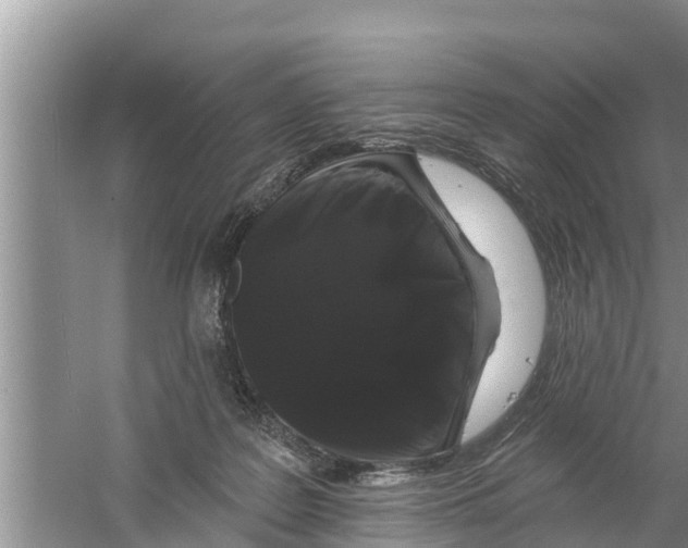 X0000058770219200510281953
