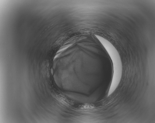 X0000058770223200510281953