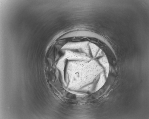 X0000058770244200510281952