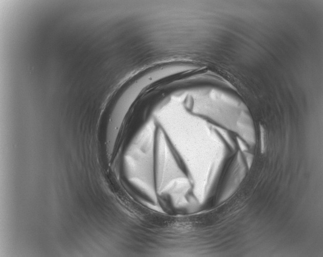 X0000058770252200510281952