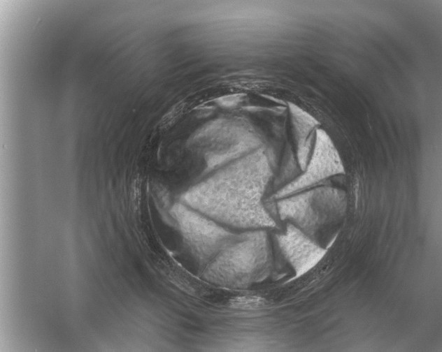 X0000058770271200510281952