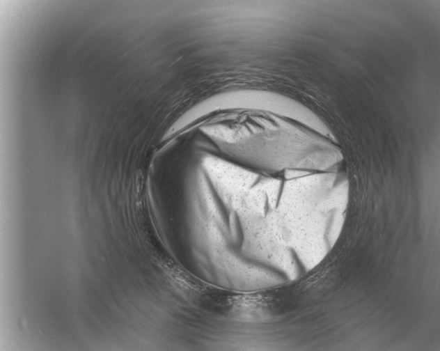 X0000058770273200510281952