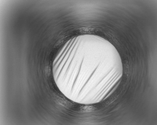 X0000058770324200510281951
