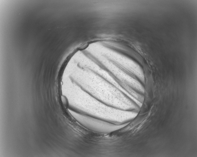 X0000058770342200510281950