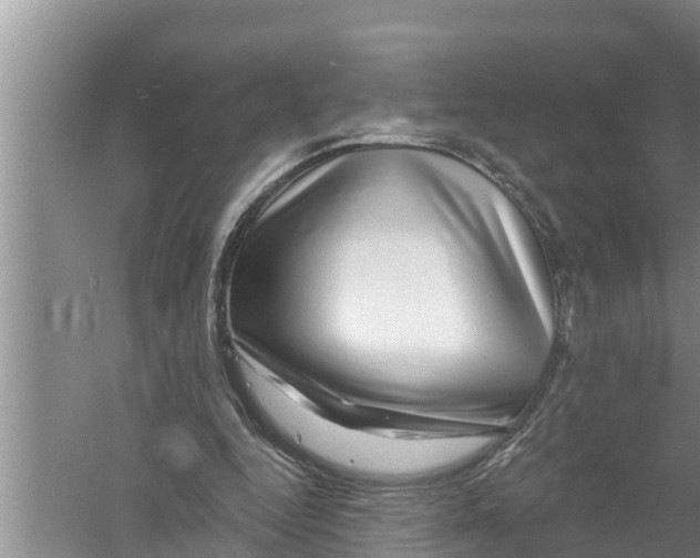 X0000058770344200510281950
