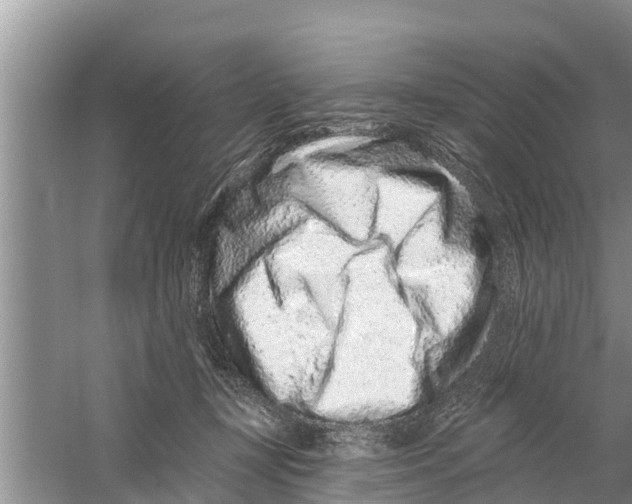 X0000058770367200510281950