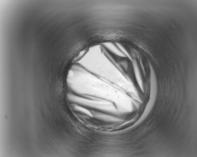 X0000058770407200510281950
