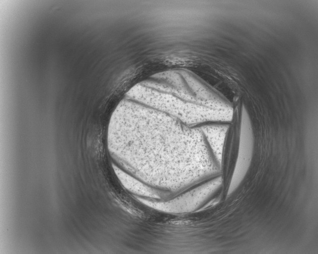X0000058770408200510281950