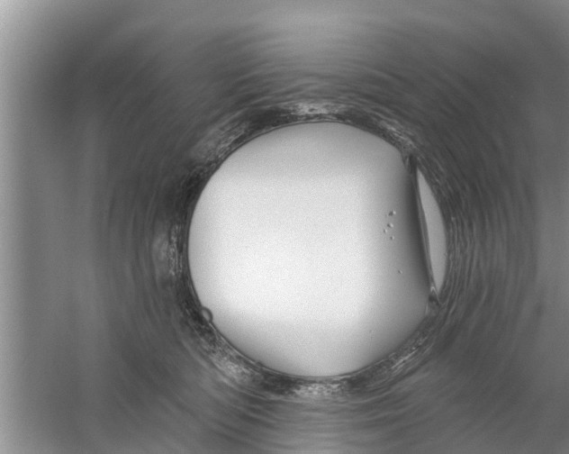 X0000058770422200510281949