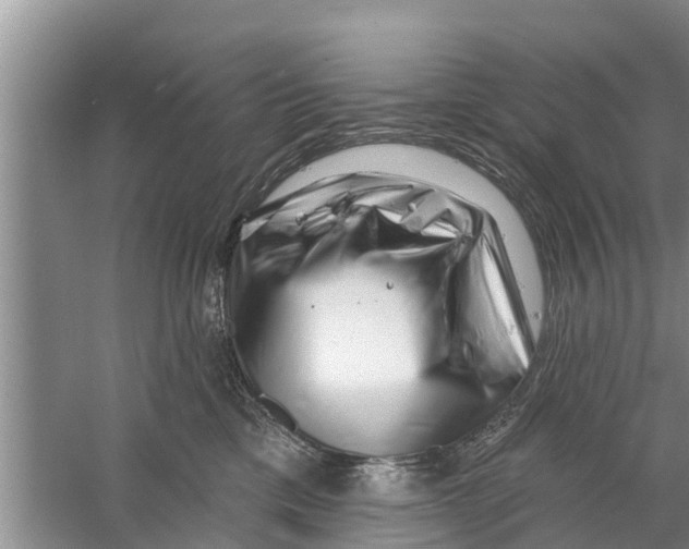 X0000058770425200510281949