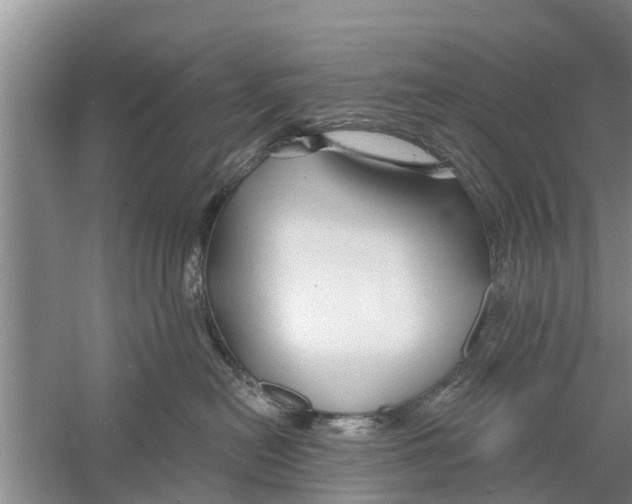 X0000058770478200510281949