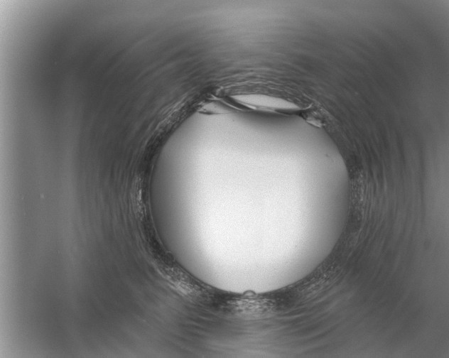 X0000058770615200510281946