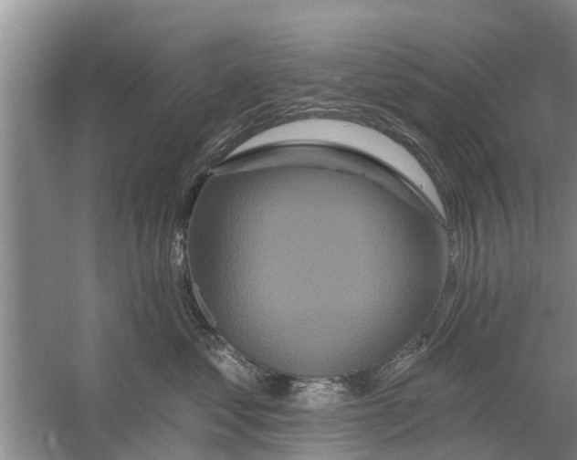 X0000058770621200510281946