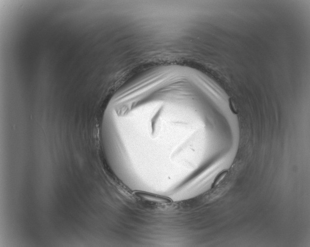 X0000058770624200510281946
