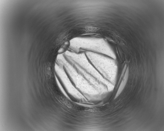 X0000058770655200510281946