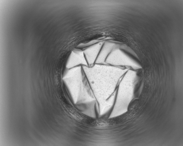 X0000058770658200510281946