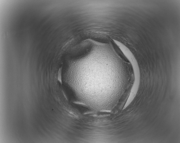 X0000058770716200510281944
