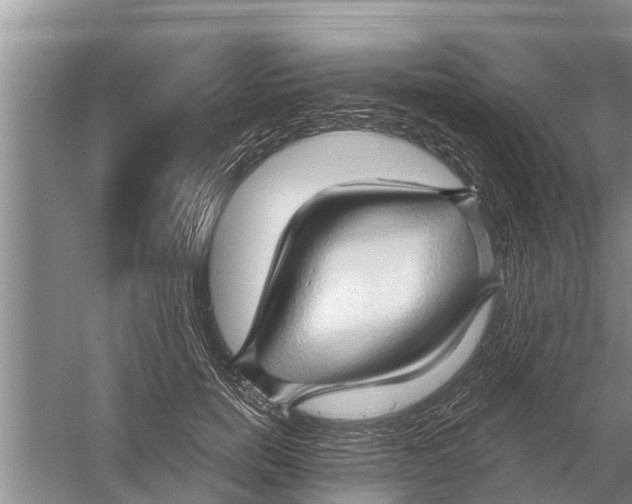 X0000058770750200510281944