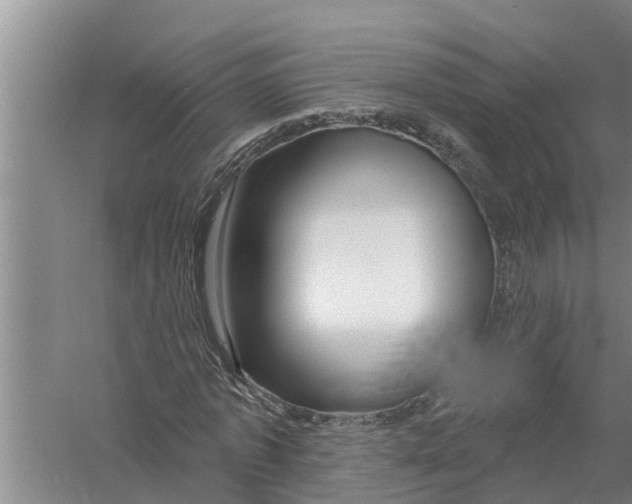 X0000058770773200510281943