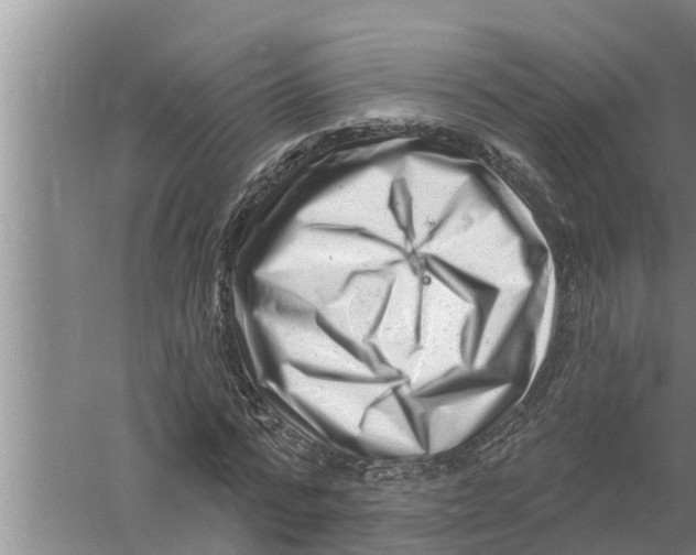 X0000058770776200510281943
