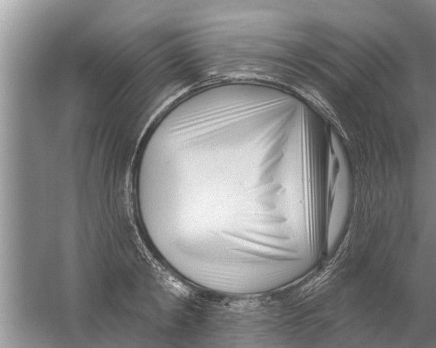 X0000058770798200510281943