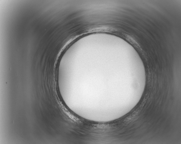 X0000058770800200510281943