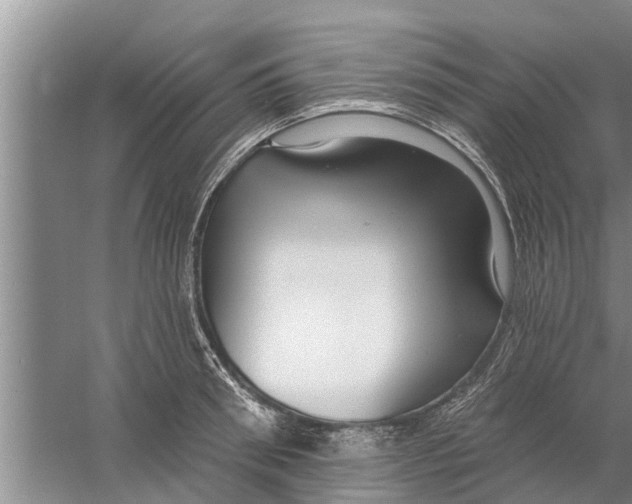 X0000058770898200510281941