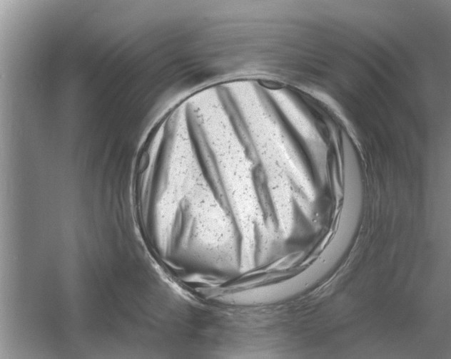 X0000058770910200510281941