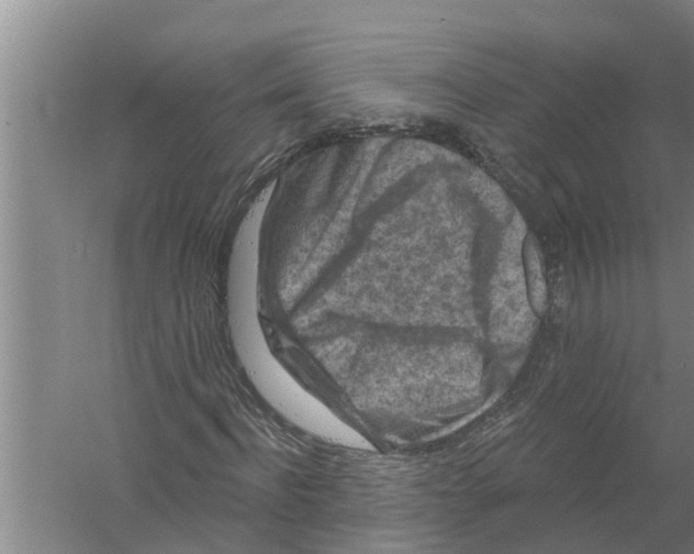 X0000058770916200510281940