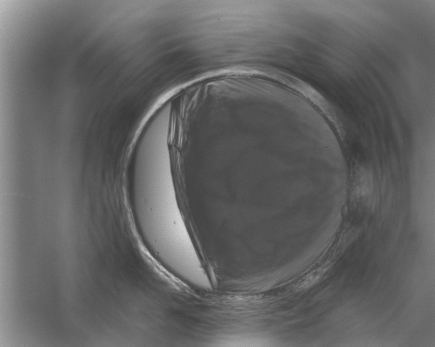 X0000058770958200510281941