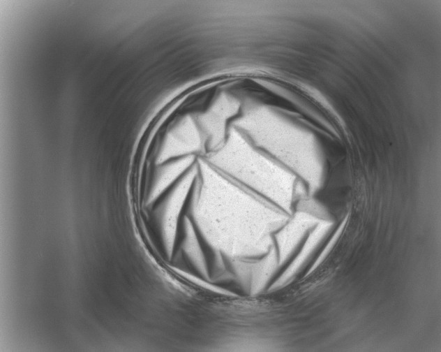 X0000058770959200510281941
