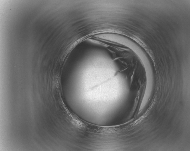 X0000058770993200510281940