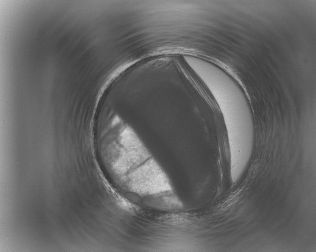 X0000058770995200510281940
